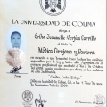 Ampliar imagen: certificate 5