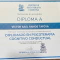 Ampliar imagen: certificate 32