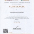 Ampliar imagen: certificate 4