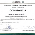 Ampliar imagen: certificate 2