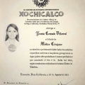 Ampliar imagen: certificate 8