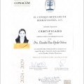 Ampliar imagen: certificate 3