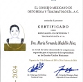 Ampliar imagen: certificate 4