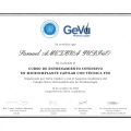Ampliar imagen: certificate 3