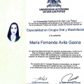 Ampliar imagen: certificate 1