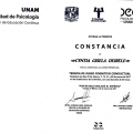 Ampliar imagen: certificate 6