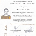 Ampliar imagen: certificate 5