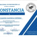 Ampliar imagen: certificate 6