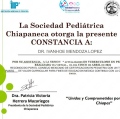 Ampliar imagen: certificate 25