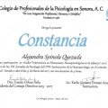 Ampliar imagen: certificate 9