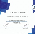 Ampliar imagen: certificate 17