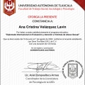 Ampliar imagen: certificate 10
