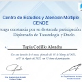 Ampliar imagen: certificate 6