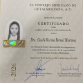 Ampliar imagen: certificate 5