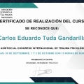 Ampliar imagen: certificate 8
