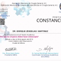 Ampliar imagen: certificate 37