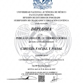 Ampliar imagen: certificate 2