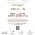 Ampliar imagen: certificate 9