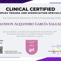 Ampliar imagen: certificate 4
