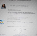 Ampliar imagen: certificate 3