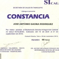Ampliar imagen: certificate 17