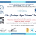 Ampliar imagen: certificate 8
