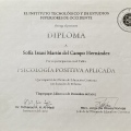 Ampliar imagen: certificate 3