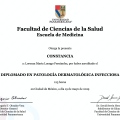 Ampliar imagen: certificate 6