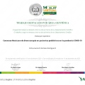 Ampliar imagen: certificate 7