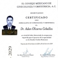 Ampliar imagen: certificate 2
