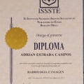 Ampliar imagen: certificate 4