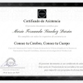 Ampliar imagen: certificate 5