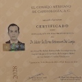 Ampliar imagen: certificate 1