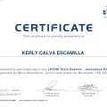 Ampliar imagen: certificate 17