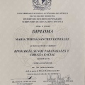 Ampliar imagen: certificate 3