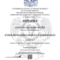 Ampliar imagen: certificate 3