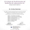 Ampliar imagen: certificate 13
