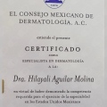 Ampliar imagen: certificate 1