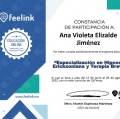Ampliar imagen: certificate 4