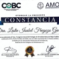 Ampliar imagen: certificate 23