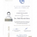 Ampliar imagen: certificate 1