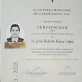 Ampliar imagen: certificate 1