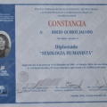 Ampliar imagen: certificate 3