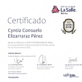 Ampliar imagen: certificate 2