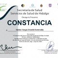 Ampliar imagen: certificate 9