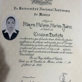 Ampliar imagen: certificate 1