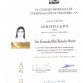 Ampliar imagen: certificate 4