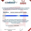 Ampliar imagen: certificate 1