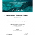 Ampliar imagen: certificate 3