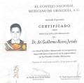 Ampliar imagen: certificate 2